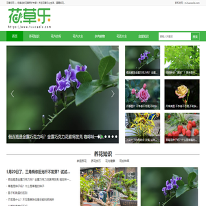花草乐养花网