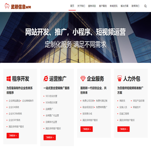 武穆信息-专注企业信息化方案提供