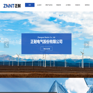 正耐电气股份有限公司