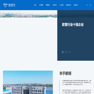 天津鹏翎集团股份有限公司