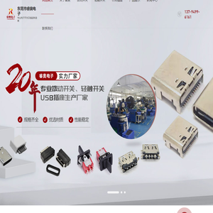东莞拨动开关-拨动开关厂家-微型拨动开关-轻触开关-钮子开关-type c连接器-[睿奥电子]专业USB插座厂家