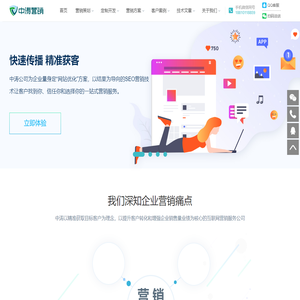 中涛营销 - 专业网站建设,搜索引擎优化和APP外包开发公司