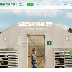 天津华盛强钢铁发展有限公司