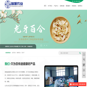 龙牙百合_新鲜百合_百合干-湖南省瑞源农业有限公司