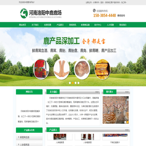 河南郑州登封鹿产品加工销售-洛阳郑州登封鹿茸现场采收价格-河南洛阳中鹿鹿场