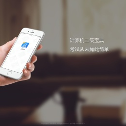 计算机二级宝典