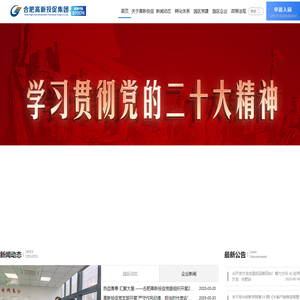 合肥高新投资促进集团股份有限公司