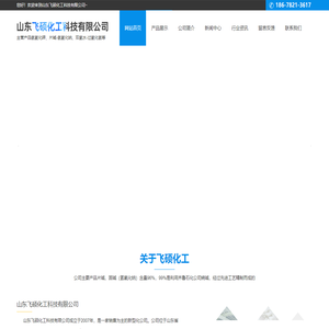 山东飞硕化工科技有限公司