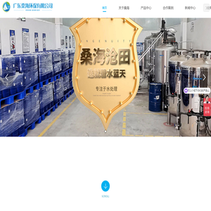 反渗透膜清洗剂,缓蚀阻垢剂,杀菌灭藻剂,锅炉除垢剂,水处理剂生产厂家_广东桑海环保有限公司