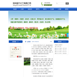 郑州市超凡化工有限公司