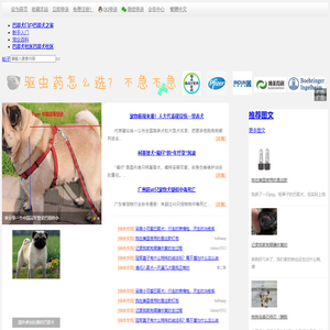 巴哥犬门户网站-宠巴网