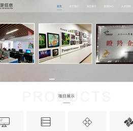 武汉新楚信息有限公司