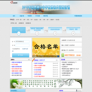 2013年安徽省中小学教师全员培训