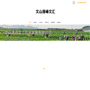文山港峰文汇农业发展有限公司