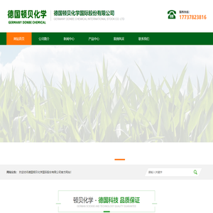德国顿贝化学国际股份有限公司