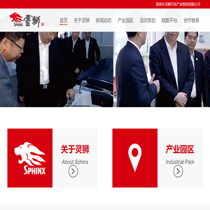 深圳市灵狮文化产业集团有限公司