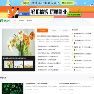 青伊湖绿化苗木种子合作社-批发销售林木,草坪,牧草,草本花卉种子