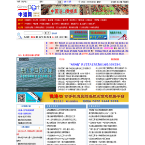 中港网
