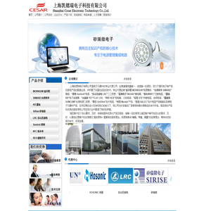 上海凯锶瑞电子科技有限公司