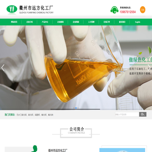 衢州市远方化工厂--远方|远方化工|衢州远方