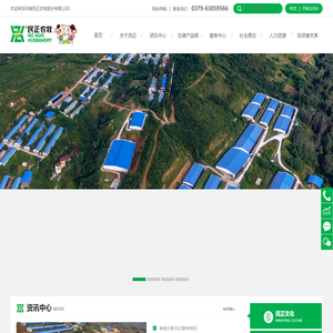 种猪_商品猪_民正商品猪_民正农牧_河南民正农牧股份有限公司