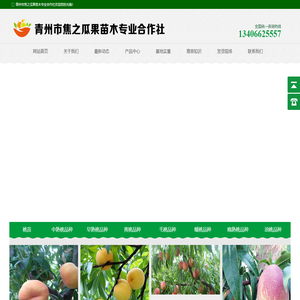 黄桃/晚熟/新品种桃树苗，桃苗，批发/价格，焦之瓜果苗木种植基地