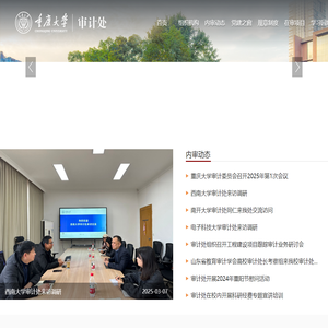 重庆大学审计处