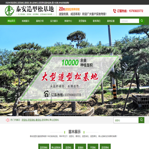 造型松|泰山迎客松|造型油松-泰安小苹果园林