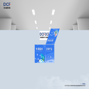 东诚财务管理咨询服务有限公司