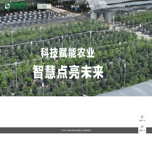方阵科技