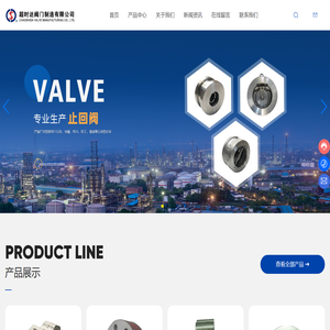 止回阀-阀门-永嘉超时达阀门制造有限公司