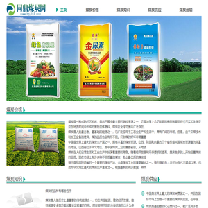 同鼎煤炭网—最大的煤炭行业信息、煤炭交易平台