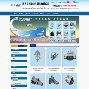 Qinghe County Tuosu Auto Parts Co., Ltd.