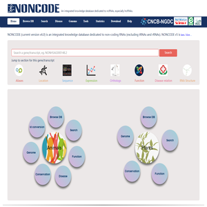 NONCODE