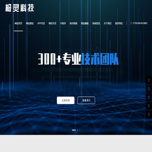 西安网站开发公司 | 小程序/APP定制开发 - 陕西极灵科技