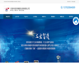 天津市凯帝精密仪表有限公司