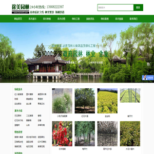 灌木树苗-绿化苗木-常绿乔木-价格/批发/基地 - 四川成都途美园林