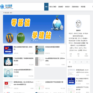 SEO教程零基础入门到高级-学习网站SEO技术知识_SEO视频网