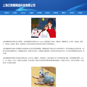 上海亿熙腾网络科技有限公司-官网