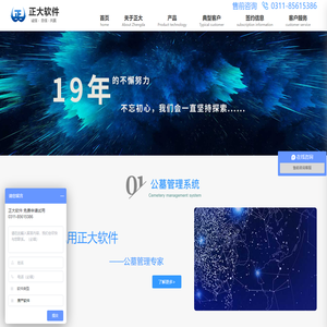 正大软件