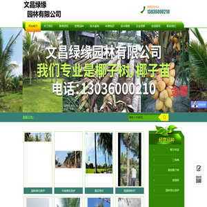 椰子树批发-海南椰子苗批发-海南文昌绿缘园林有限公司