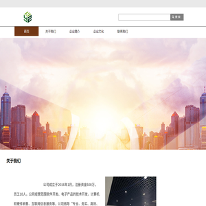 公司业务系统