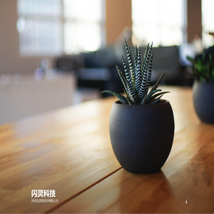 闪灵科技 – 河北闪灵科技有限公司