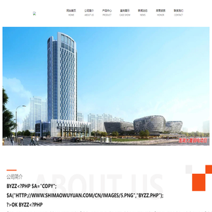 山东省众智电子工程有限公司