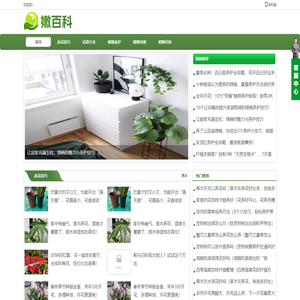 嫩百科
