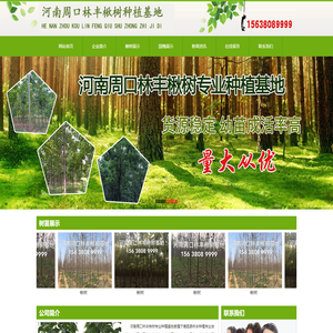 河南周口林丰楸树种植基地