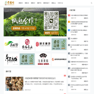 黄精价格行情_黄精的功效与作用_种植技术 - 黄精网