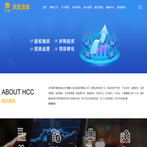 股权融资 并购投资 招商运营 项目孵化-洪武资本-深圳洪武控股有限公司