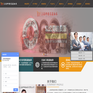 上海邦杨轴承有限公司