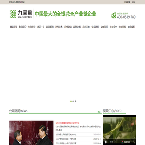 金银花苗木，金银花小苗，北花一号金银花种苗--金银花种苗厂家平邑县九间棚农业科技园有限公司
